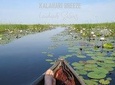 3 Day Inner Okavango Delta Safari, all-inclusive
