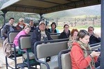  Private Wildlife and Wine Tour 