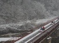 3 Day Essential Tour-Seoul City, Nami, Rail Bike, Everland(Inc. 2lunch, 1dinner)