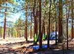 Camp at Holcomb Valley Campground, Big Bear, California