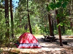Camp at Hanna Flat Family Campground, Big Bear, California
