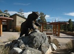 Visit Big Bear Discovery Center, Big Bear, California