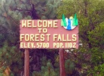 Visit Forest Falls, California