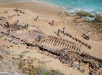Visit Ethel Wreck Beach Lookout, Innes National Park, South Australia