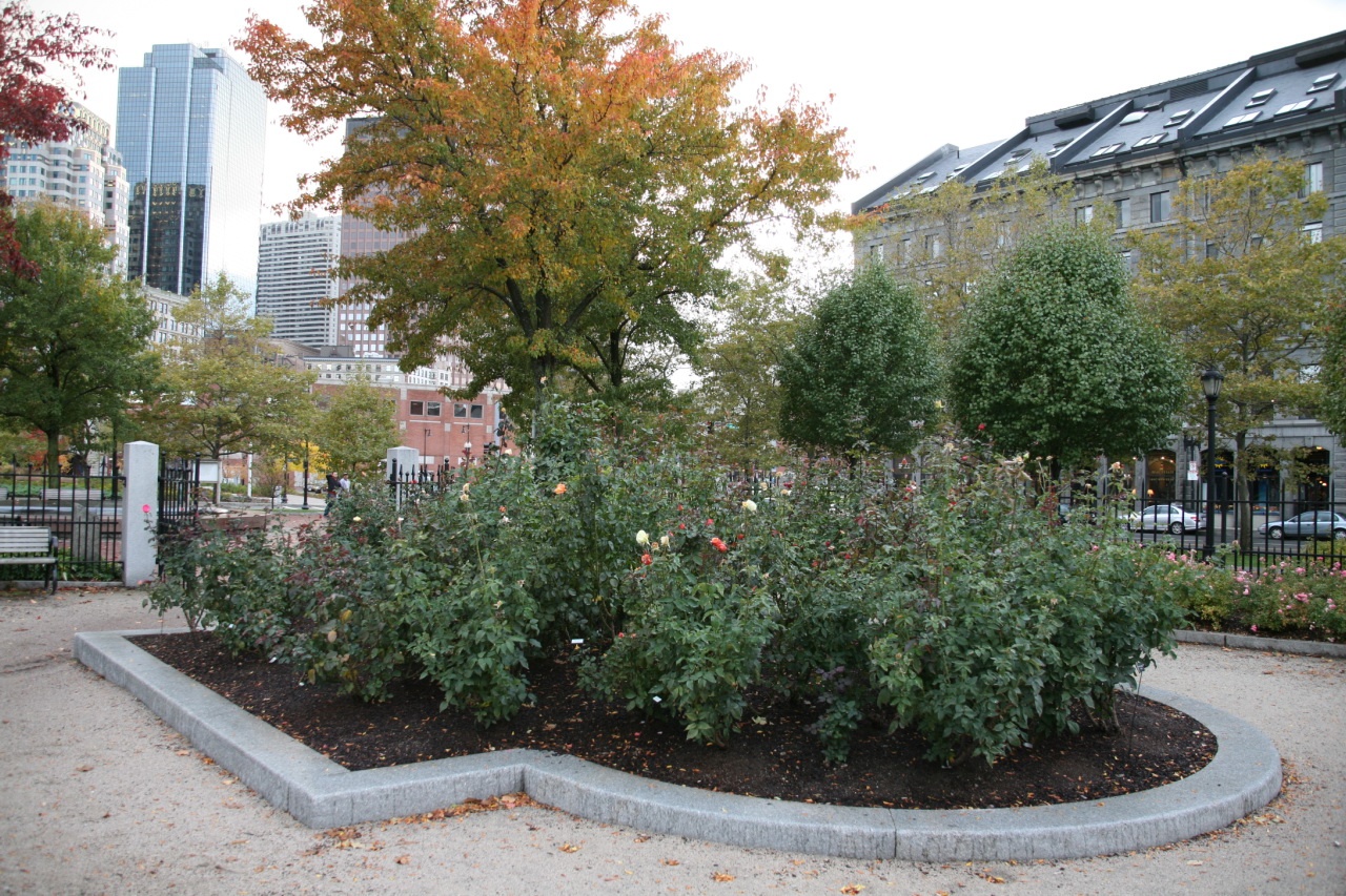 The Rose Kennedy Rose Garden