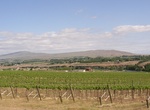 Wine Taste in Yakima County, Washington