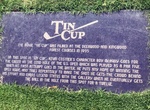 Play "Tin Cup" Hole at The Clubs of Kingwood - Deerwood, Kingwood, Texas