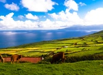 Visit Corvo Island, Azores