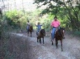 Horse Back Riding With Danitours Montain Rural Areas And Sand Beach