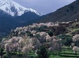 Atlas Mountains and Three Valleys + Camel Ride: Day Trip from Marrakech