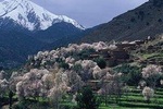 Atlas Mountains and Three Valleys + Camel Ride: Day Trip from Marrakech
