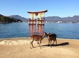 Miyajima full day tour