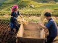 Sapa 3 Days 2 Nights From Hanoi Private Tour