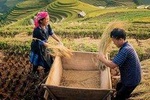 Sapa 3 Days 2 Nights From Hanoi Private Tour