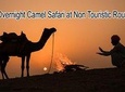 Overnight Camel Safari at Non-Touristic Route