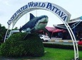 PATTAYA: Join Tour Under Water World Pattaya