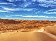 Desert Safari & Camping Private Tour 