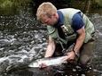 Atlantic Salmon & Sea Trout fishing.Erriff River, Mayo. French speaking Ghillie.