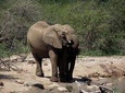 A Full Day Safari Tour to the Hluhluwe Imfolozi Big 5 Game Reserve