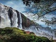Athirappilly & Vazhachal Waterfalls Private Day Tour from Kochi
