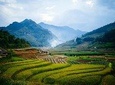 Sapa: Cat Cat – Ham Rong - Fansipan – Lao Chai – Ta Van 3 Days 2 Nights