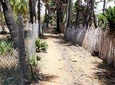 Village Tour