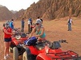 Sahara safari 3 hours