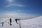 5-days Jeju Hiking(Hallasan & Olle Course) with Moutain Expert