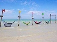 Discover Amazing Isla Holbox Tour - Departure from Cancún 