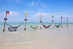 Discover Amazing Isla Holbox Tour - Departure from Cancún 