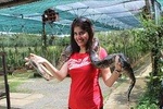 Private Cai Be - Tan Phong - Vinh Long 2 day Tour (Homestay)