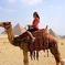 Camel or Horse Riding at The Giza Pyramids Area