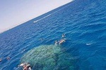 Trip To Dolphin House and Banana Boat Fun from Hurghada 