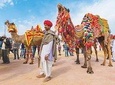 Private 11 Days India Cultural Rajasthan Tour