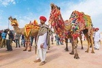 Private 11 Days India Cultural Rajasthan Tour