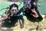 Scuba Diving ( one try dive depth 6 meters and snorkeling ) from Pattaya