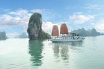 Ha Long Bay day Trip 6 hours cruise transfer by new highway