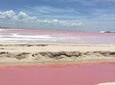 Tour Las Coloradas and Rio Lagartos