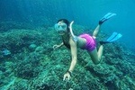 Best Bali Snorkeling At Blue Lagoon And Tanjung Jepun All-Inclusive