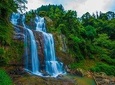 All Inclusive 4-Day Tour to Kandy,Nuwara Eliya,Sigiri Dambulla&Polonnaruwa