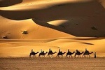 Camel Trekking