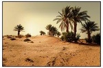 2 Days Desert Tour from Marrakech to Zagora 