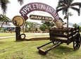 Appleton and Y.S Falls Tour from Negril Hotels