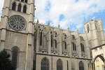 The Best of Old Lyon Walking Tour