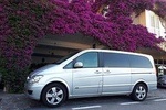 Private Transfer Rome to Positano or viceversa