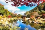 One Day Private Tour-Nami Island, Petite and Garden of Morning Calm(Incl. Lunch)
