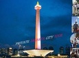 Jakarta Private Tour With Guide and Lunch