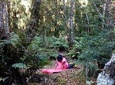  Nature Therapy Walks