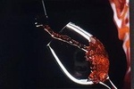  Friendinvenice I Love Amarone Valpolicella & Verona