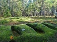 Archaeological Circuit of Cova da Moira (half day)